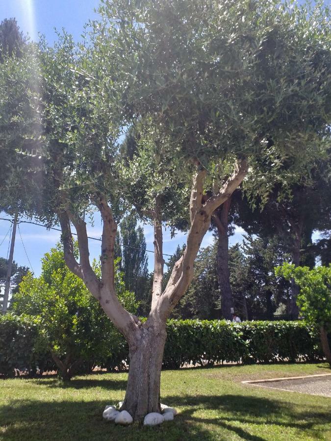Villa Vittorio Infernetto Bagian luar foto