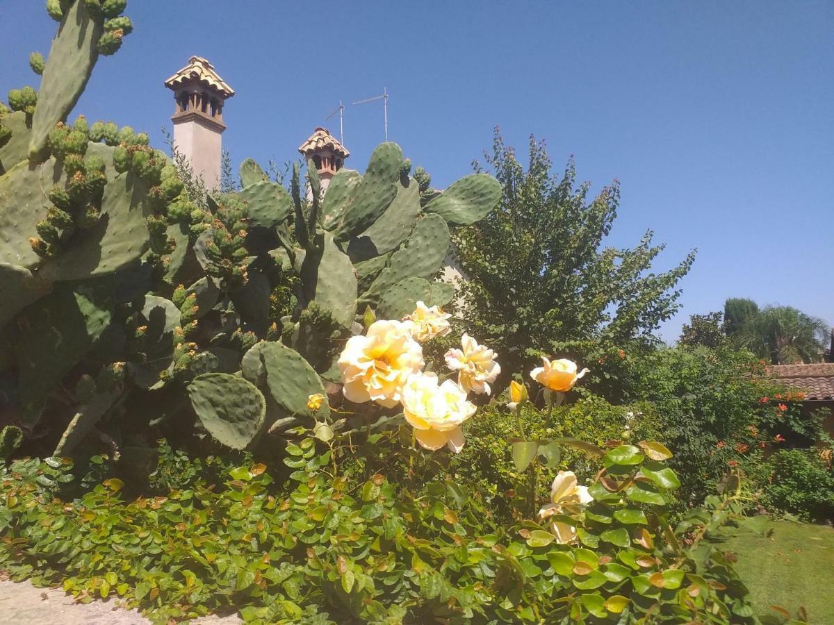Villa Vittorio Infernetto Bagian luar foto